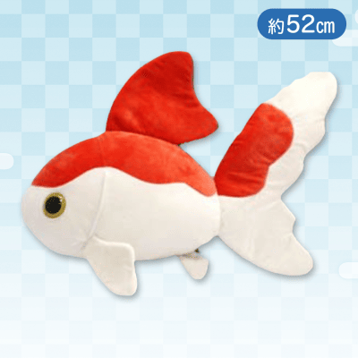 【リュウキン】彩り金魚BIG
