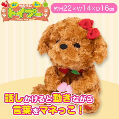 【ブラウン】喋る!動く!ものまねトイプー 5