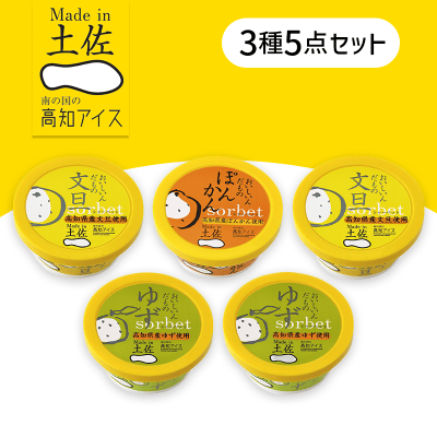 【5個入】高知アイスシャーベットセット