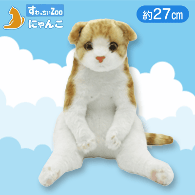 スコティッシュフォールド】すわっちぃZooにゃんこ | オンラインクレーンゲーム「クラウドキャッチャー」