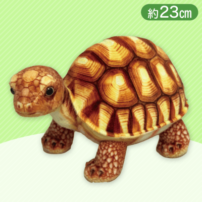 【ブラウン】りあるあにまるず　リクガメ