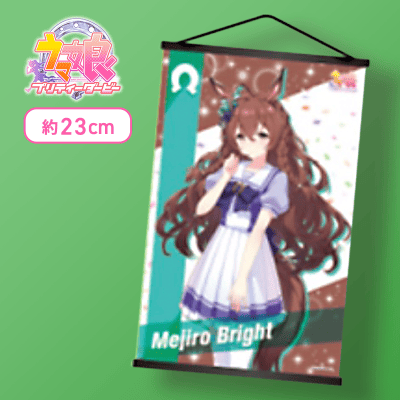 【メジロブライト】ウマ娘 プリティーダービー ミニタペストリーVol.7