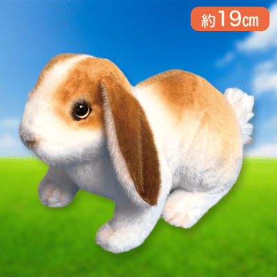 【ブラウン】りあるあにまるず　うさぎ