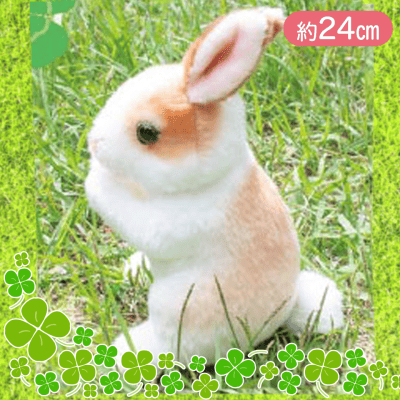 【オレンジ×ホワイト】リアルな兎のぬいぐるみ