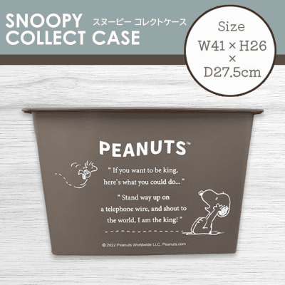 【ウッドストック×スヌーピー】スヌーピーコレクトケース