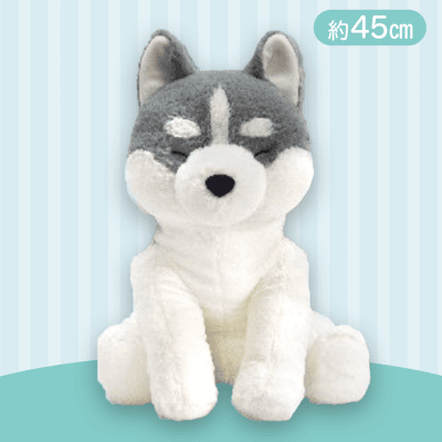 【グレー（目閉じ）】くったりシベリアンハスキー今日も元気BIG