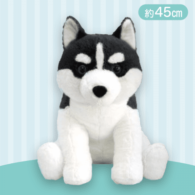 【ブラック】くったりシベリアンハスキー今日も元気BIG