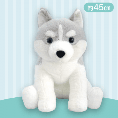 【ライトグレー】くったりシベリアンハスキー今日も元気BIG