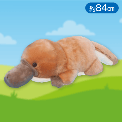 【はしのスケ】はしっこかものはしでないとBIG