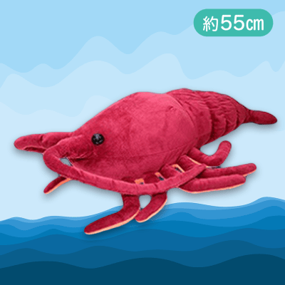 【ワインレッド】くったり伊勢エビ2BIG