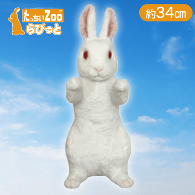 【ホワイト】たっちぃZOOらびっと