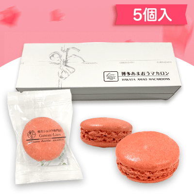 博多あまおうマカロン
