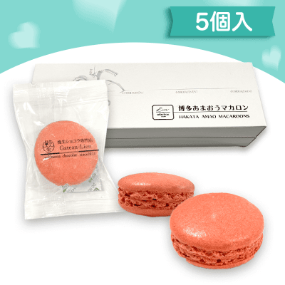 博多あまおうマカロン5個セット
