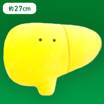 【かんぞう】FANS もちもちにんげんのからだぬいぐるみBIG