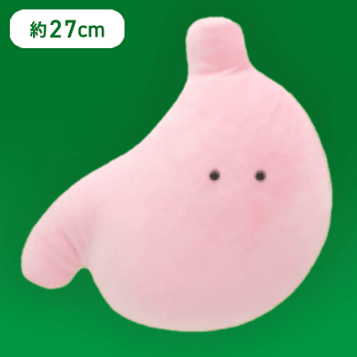 【い】FANS もちもちにんげんのからだぬいぐるみBIG