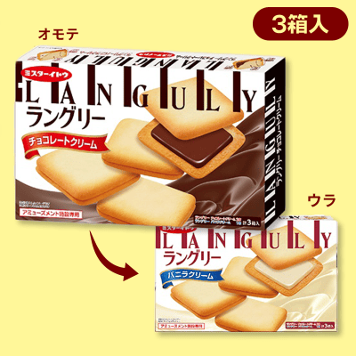 ラングリーチョコレート＆バニラ2種BIGBOX※賞味期限2023/12/06