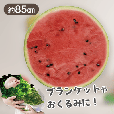 【スイカ】たべものぶらんけっと