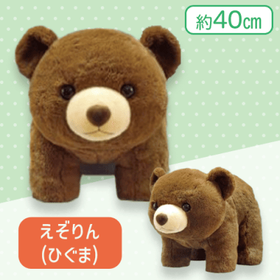 ひぐま】どっちりクマちゃんBIG | オンラインクレーンゲーム