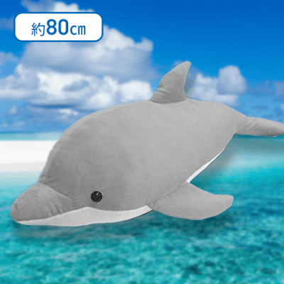 【バンドウイルカ】オーシャンワールドイルカウルトラBIG