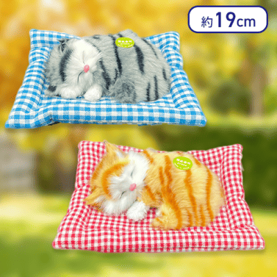 【キジねこ＆トラねこ】至福のニャン寝