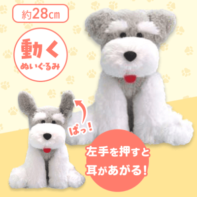 【シュナ舌出し】くったりシュナウザーお耳パタパタJB2