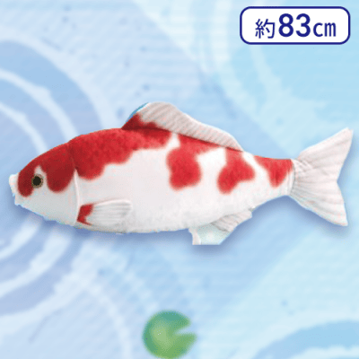 【紅白】リアルワールド錦鯉ウルトラBIG