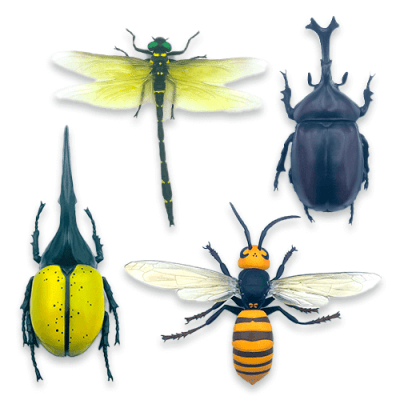 カブトムシ＆ヘラクレスオオカブト＆オオスズメバチ＆オニヤンマ