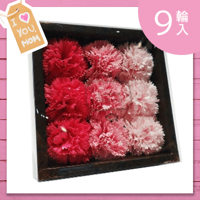 カーネーションフレグランス（9輪入）