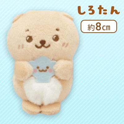 【らっこいぬ】 しろたん＆らっこいぬ ぴたれすと