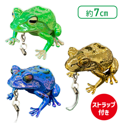 【ゴールド&オーロラグリーン&ブルー】生物図鑑キッズシリーズ　リアルカエル3