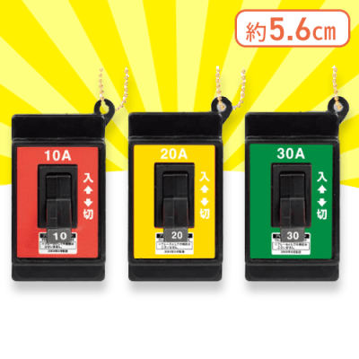 【10A 20A 30A】ブレーカースイッチ