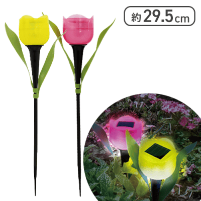 チューリップライト