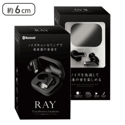 ブラック】ノイズキャンセル機能付き 完全ワイヤレスイヤホン Ray2 