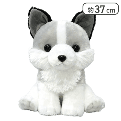 【シルヴァ】もふっとオオカミごきげんBIG