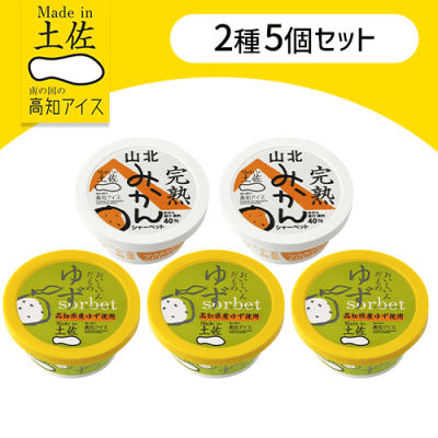 【5個セット】高知の特産シャーベット