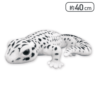 【スーパーマックススノー】りあるあにまるずヒョウモントカゲモドキ