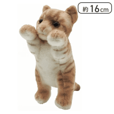 【エキゾチック】たっちぃZoo にゃんこmini9種アソート2