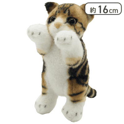 【スコティッシュフォールド】たっちぃZoo にゃんこmini9種アソート2