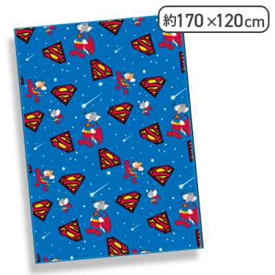 【スーパーマン】ワーナー100周年記念 マイヤー毛布2023