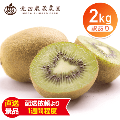 わけありキウイフルーツ2kg