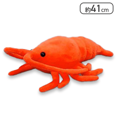 【オレンジ】くったり伊勢エビ3JB