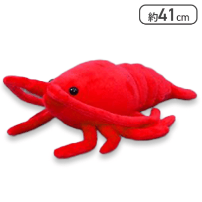 【レッド】くったり伊勢エビ3JB