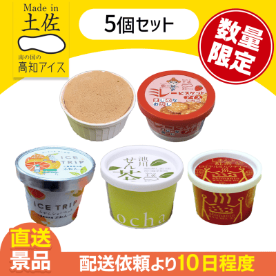 【5個セット】高知アイス福袋B　※数量限定※