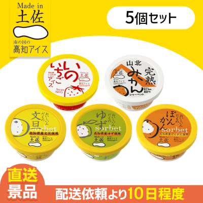 【5個セット】冬の果物アイス