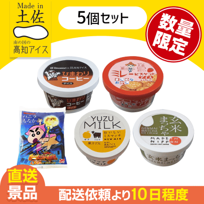 【5個セット】高知アイス福袋A　※数量限定※