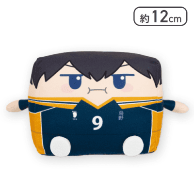 【影山 飛雄】ハイキュー！！ はこぬい