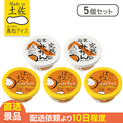 【5個セット】みかんシャーベット※賞味期限: