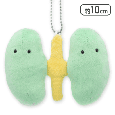 【じんぞう】FANS ボールチェーン付きにんげんのからだぬいぐるみ Part2