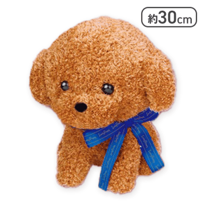 【ブルー】Lovely Puppy-トイプードル-30cm