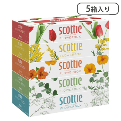スコッティティシュー フラワーボックス250組5箱パック